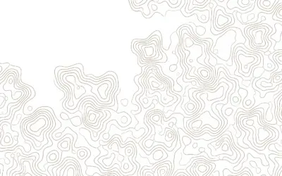 QCM : Interprétation des courbes de niveau